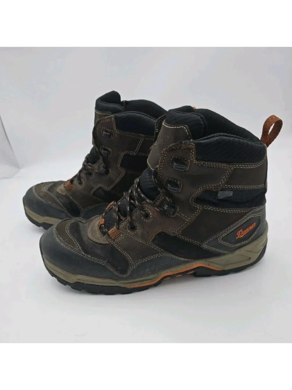 Danner Field Ranger 6